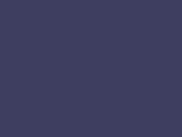 04529NavyDusk