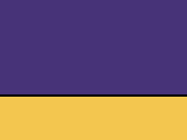 05133PurpleYellow