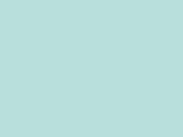 10239BlueMint