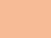 10839UnionBeige