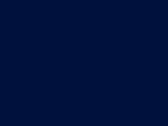 16801DeepNavy