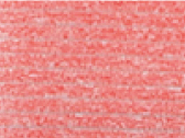 17505CoralHeather