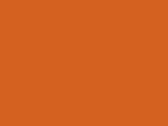 21301Orange