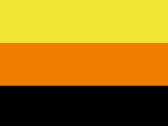 21733FluoYellowFluoOrangeBlack