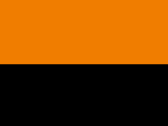 21933FluorescentOrangeBlack