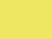 26177FluoYellow