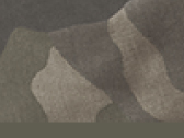 30469FieldCamo
