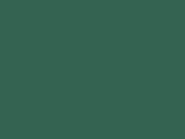 30673Evergreen