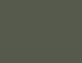 31229PineGreen