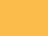 31529MangoSorbet