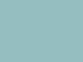 31529MintChocChip