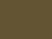 32868Buck