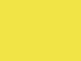 33333FlourescentYellow