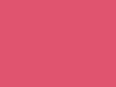 40613NeonPink