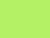 41513NeonGreen