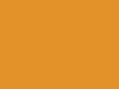 43213BrachiosaurusOrange