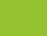 43213KnightGreen