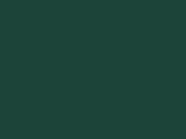 43800BottleGreen