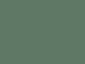 44533LichenGreen