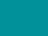 53142PopTurquoise