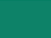 81233ParamedicGreen