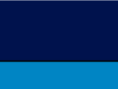 90829FrenchNavySapphireBlue