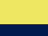 92977FluoYellowNavy