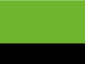 93933NeonGreenBlack
